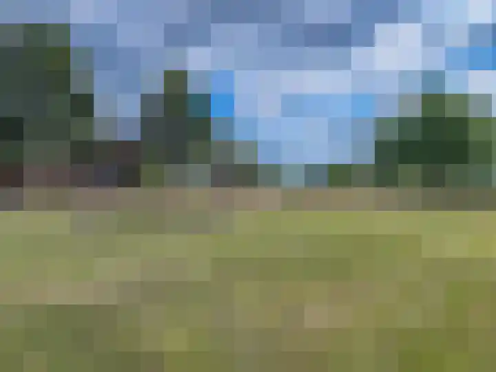 Brink 24 Wijchen thumbnail 65