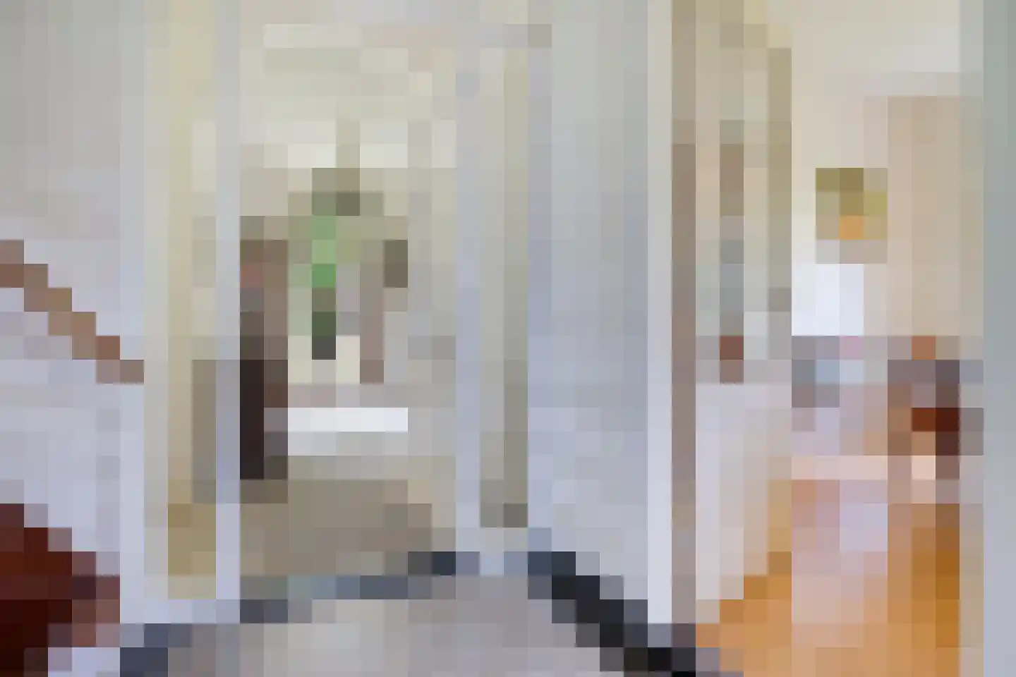 Brink 25 Gieten thumbnail 10