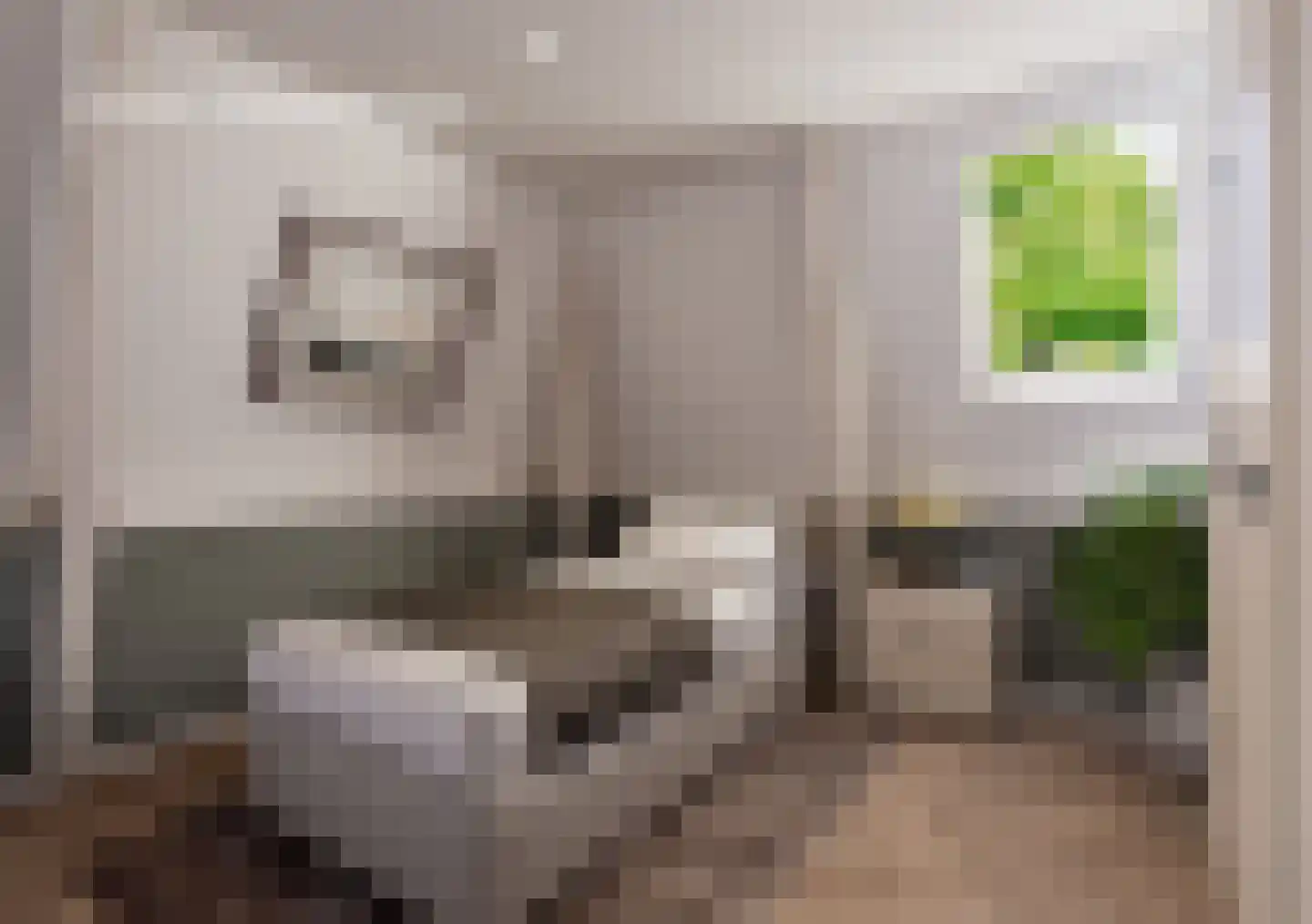 Brink 25 Gieten thumbnail 24