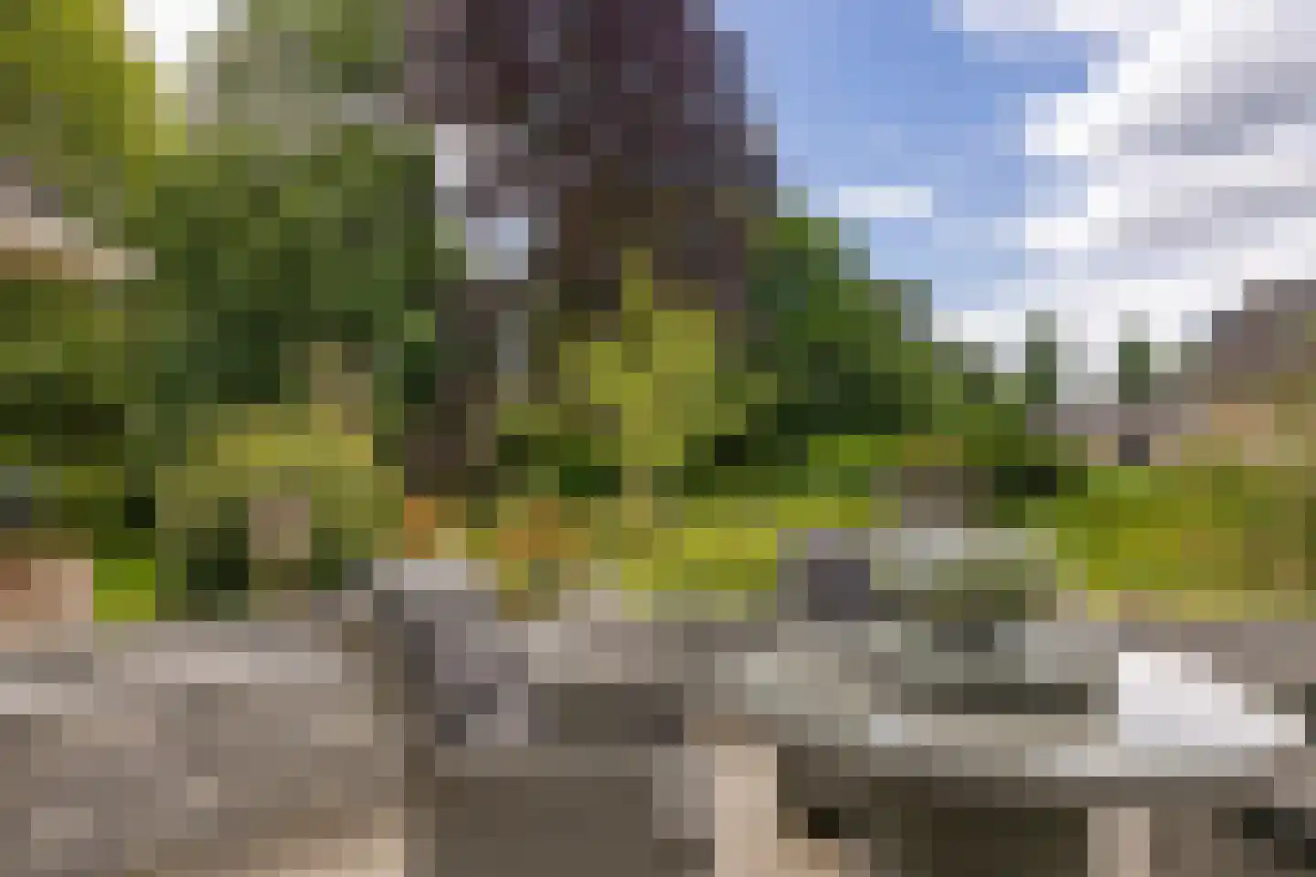 Brink 25 Gieten thumbnail 30