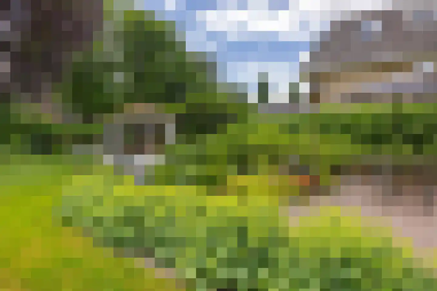 Brink 25 Gieten thumbnail 31