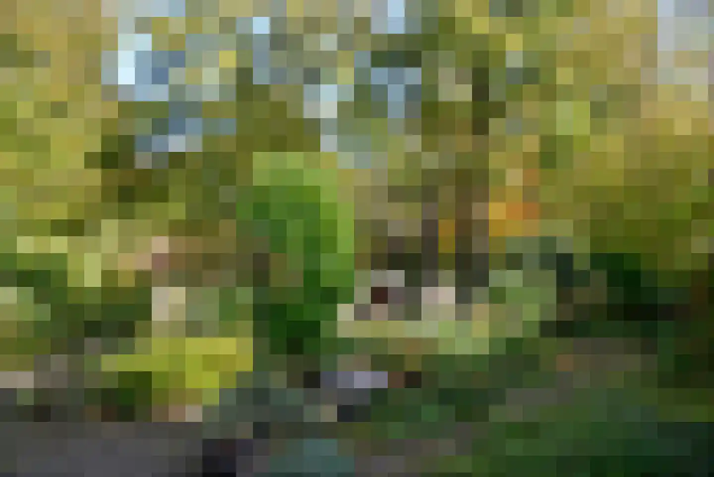 Brink 25 Muiderberg thumbnail 24