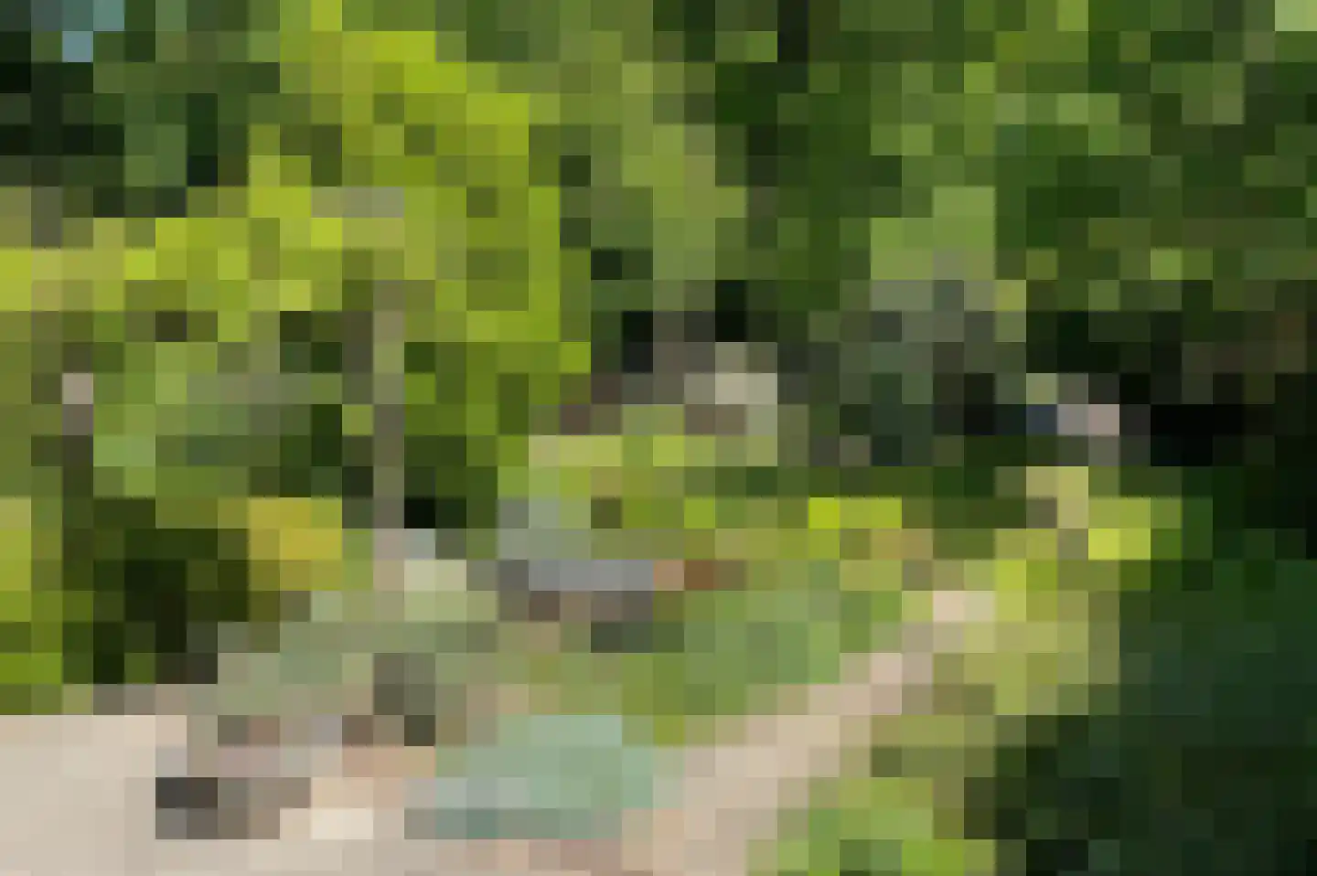 Brink 25 Muiderberg thumbnail 26