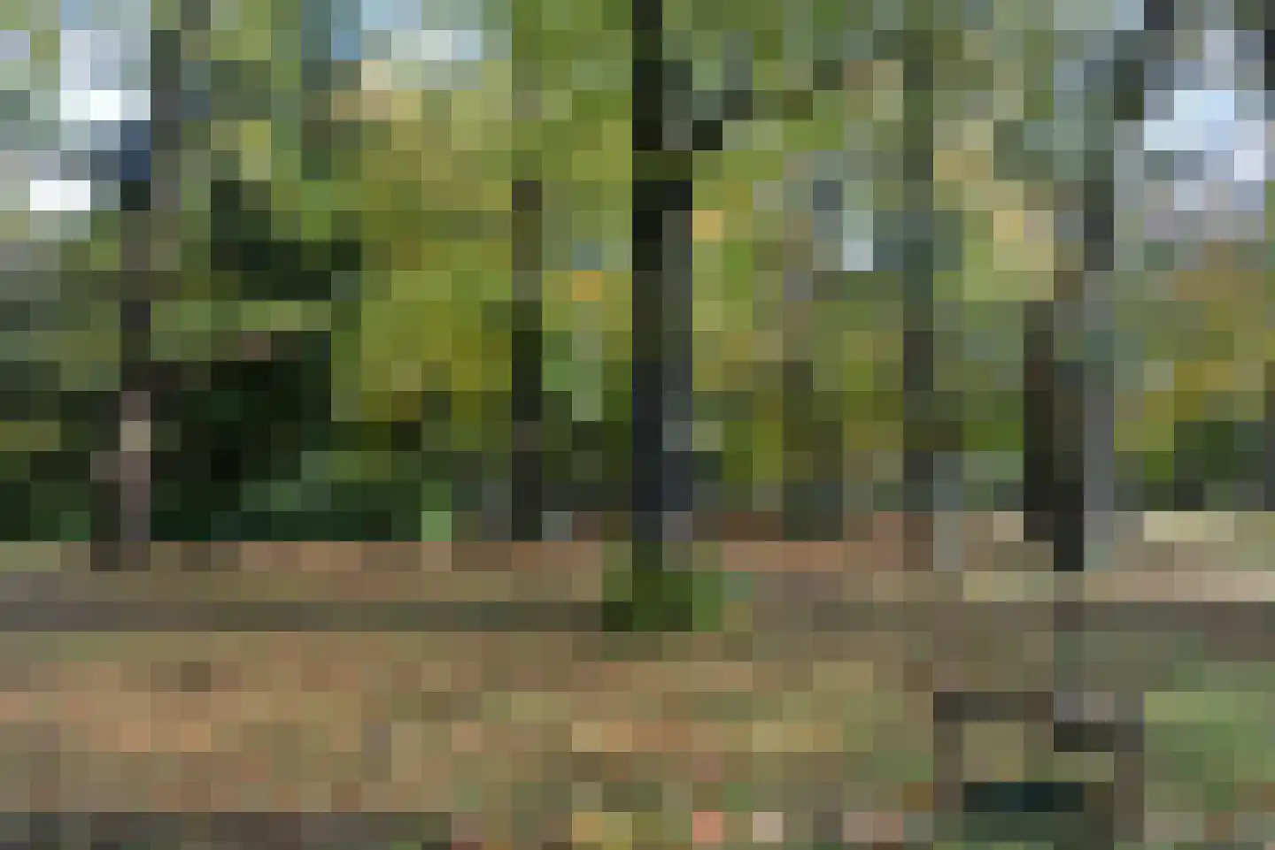 Brink 25 Muiderberg thumbnail 27
