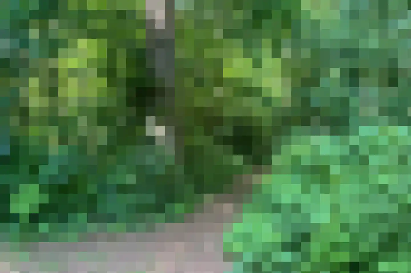 Brink 25 Muiderberg thumbnail 30