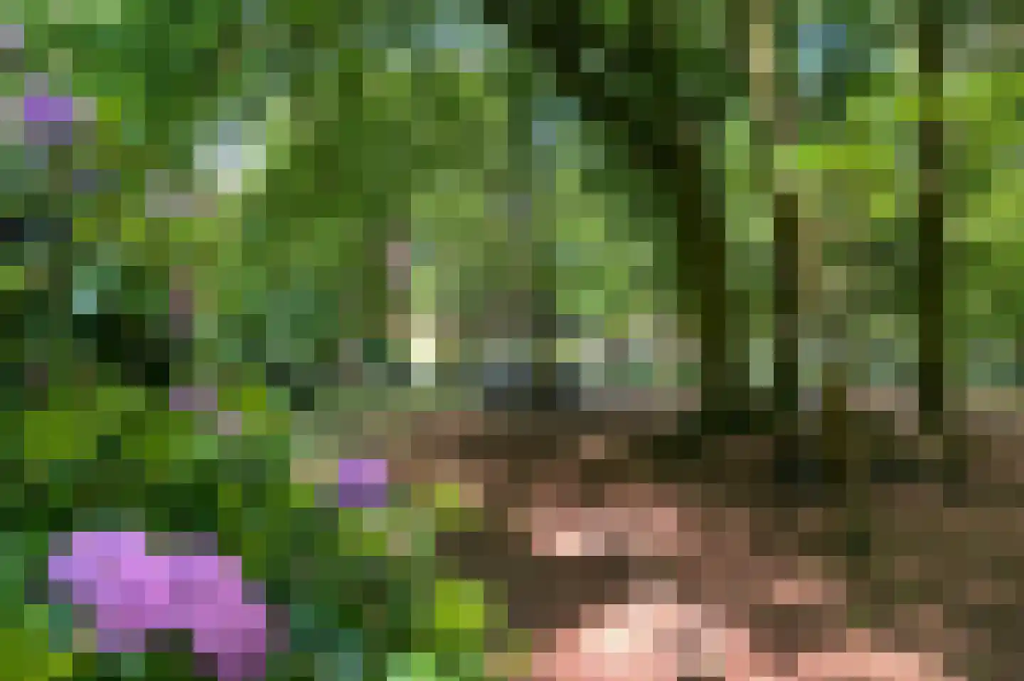 Brink 25 Muiderberg thumbnail 31