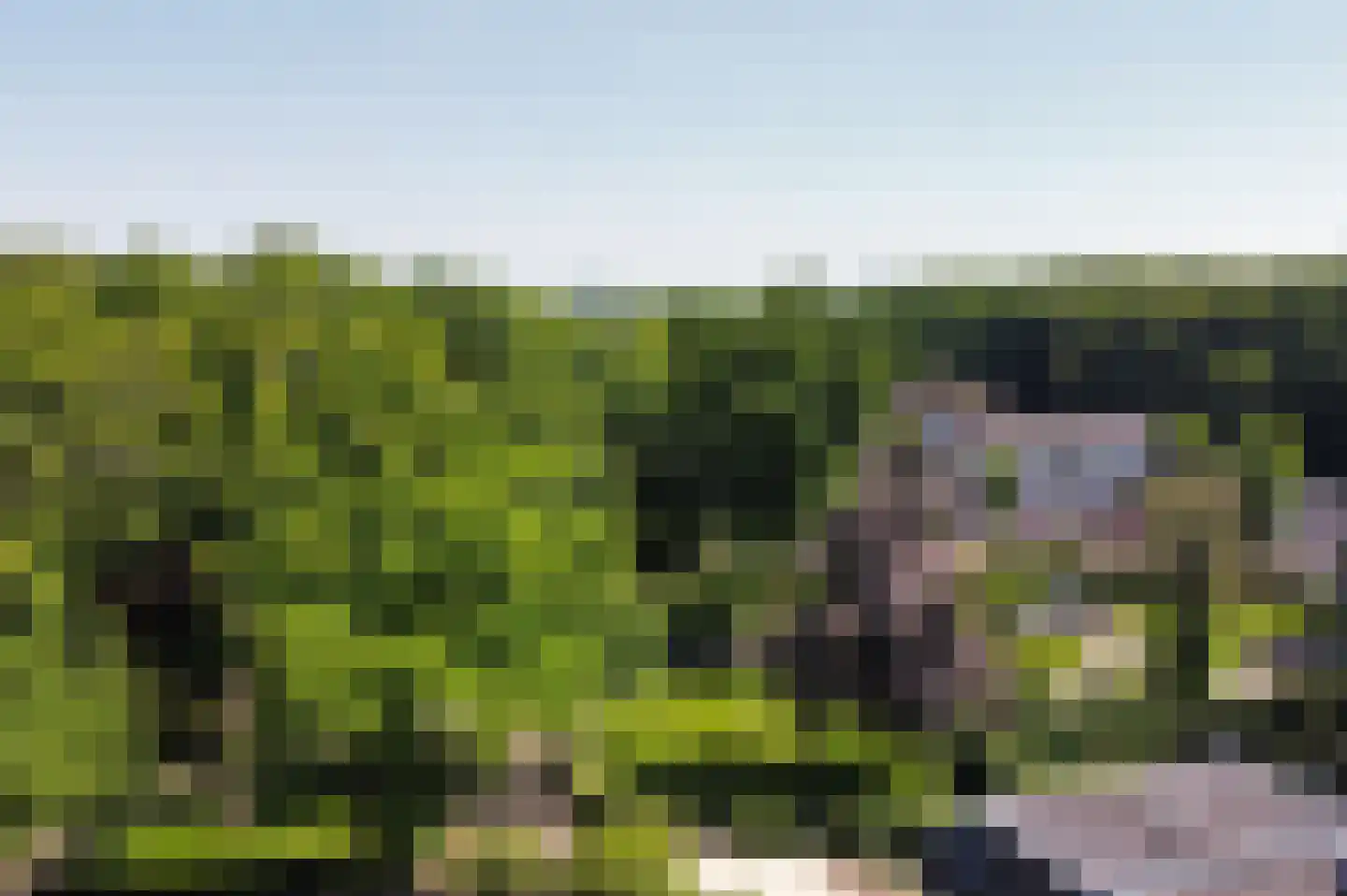 Brink 25 Muiderberg thumbnail 32