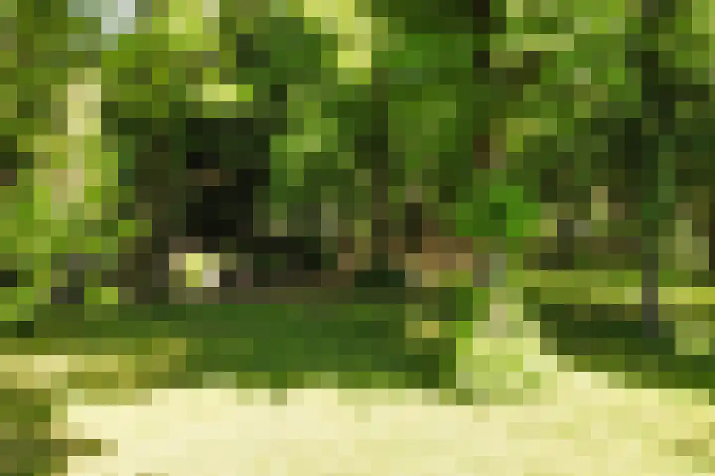 Brink 25 Muiderberg thumbnail 33