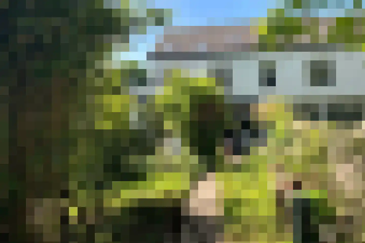 Brink 25 Muiderberg thumbnail 37