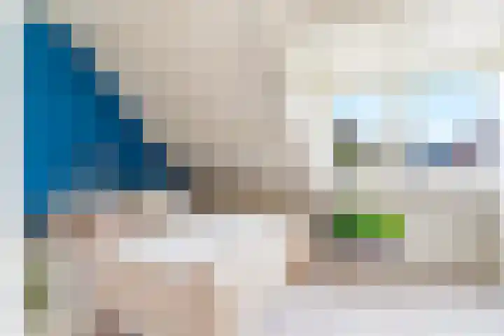Brink 25 Schalkwijk thumbnail 21