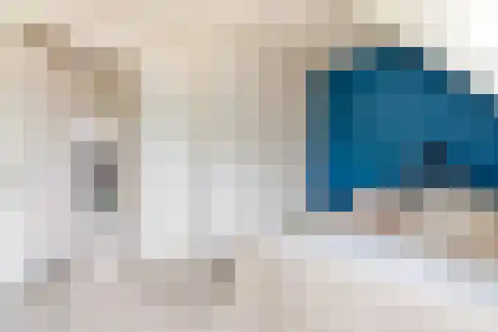 Brink 25 Schalkwijk thumbnail 22