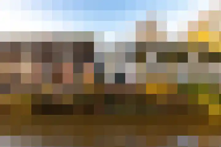 Brink 25 Schalkwijk thumbnail 34