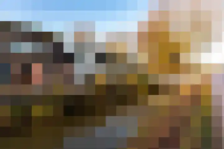 Brink 25 Schalkwijk thumbnail 35