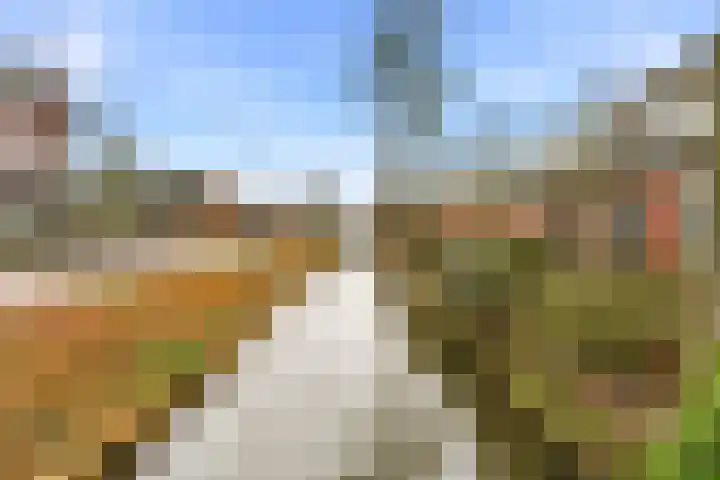 Brink 25 Schalkwijk thumbnail 36