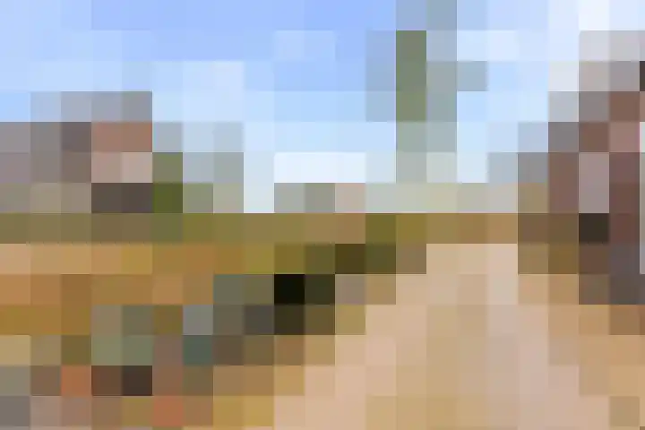 Brink 25 Schalkwijk thumbnail 37