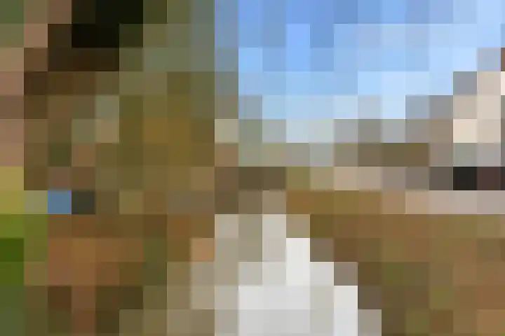 Brink 25 Schalkwijk thumbnail 39