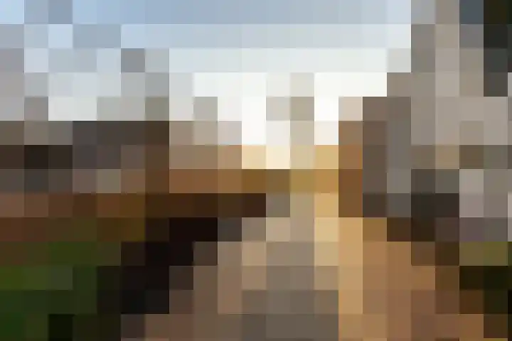 Brink 25 Schalkwijk thumbnail 4