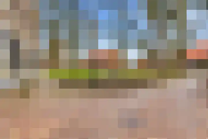 Brink 25 Schalkwijk thumbnail 40