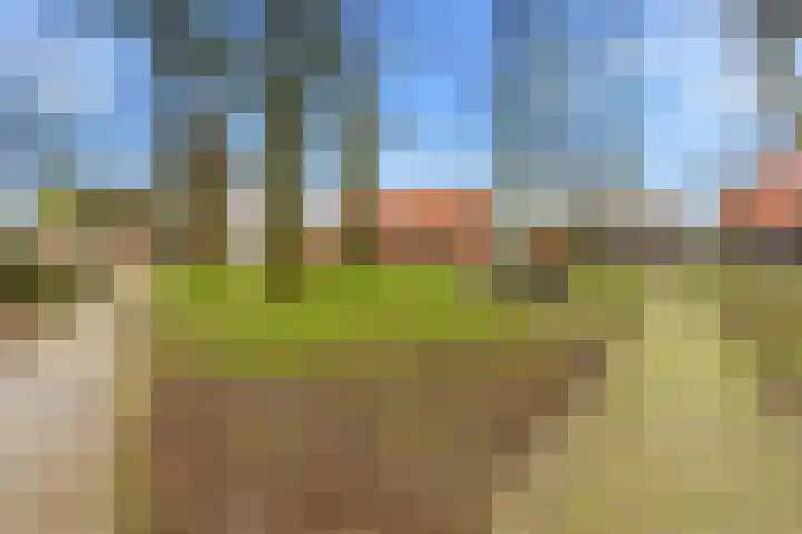 Brink 25 Schalkwijk thumbnail 41