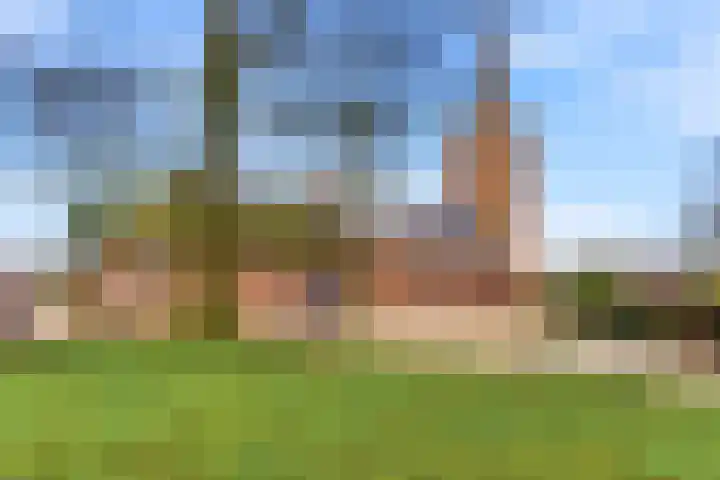 Brink 25 Schalkwijk thumbnail 42