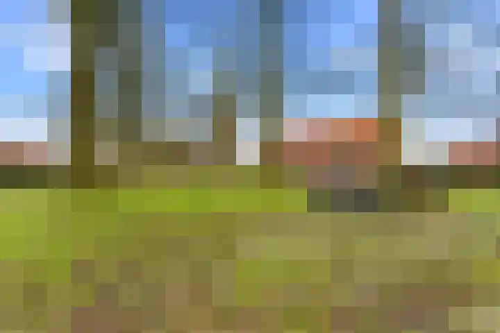 Brink 25 Schalkwijk thumbnail 43