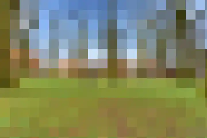 Brink 25 Schalkwijk thumbnail 44
