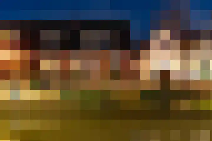 Brink 25 Schalkwijk thumbnail 45