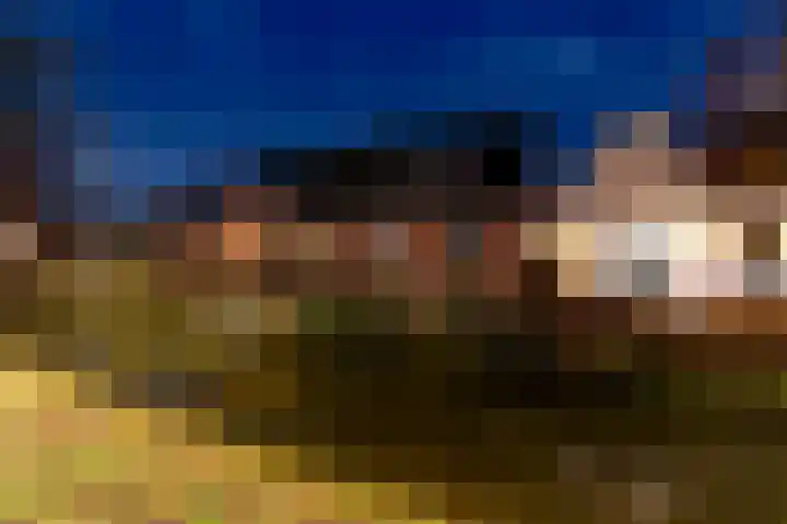 Brink 25 Schalkwijk thumbnail 46