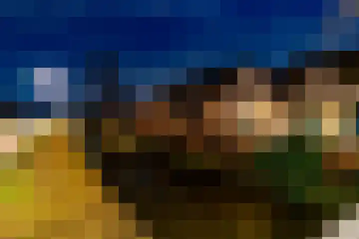 Brink 25 Schalkwijk thumbnail 48