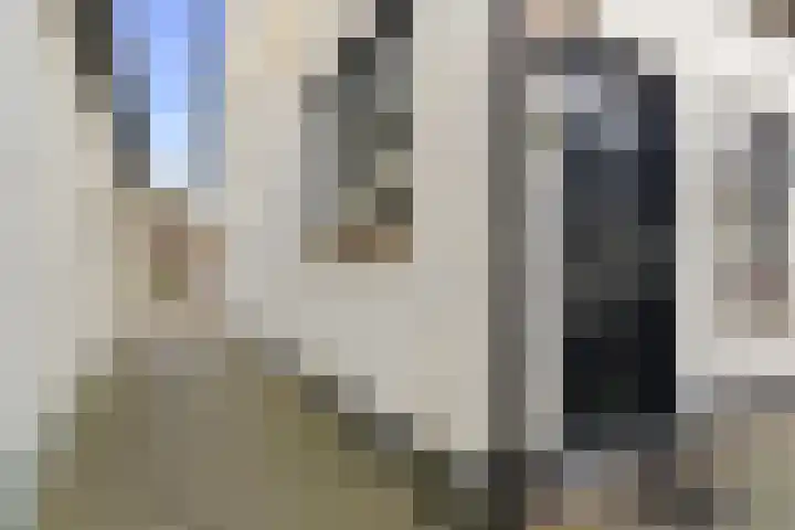 Brink 25 Schalkwijk thumbnail 5