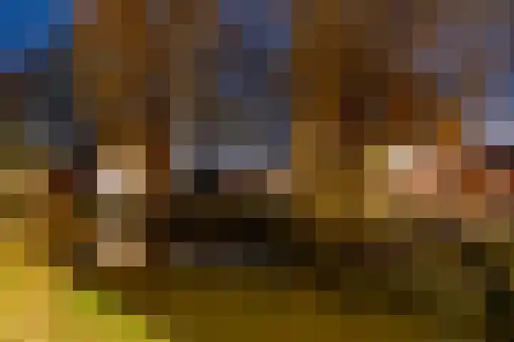 Brink 25 Schalkwijk thumbnail 50