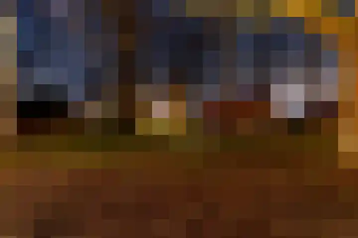Brink 25 Schalkwijk thumbnail 51