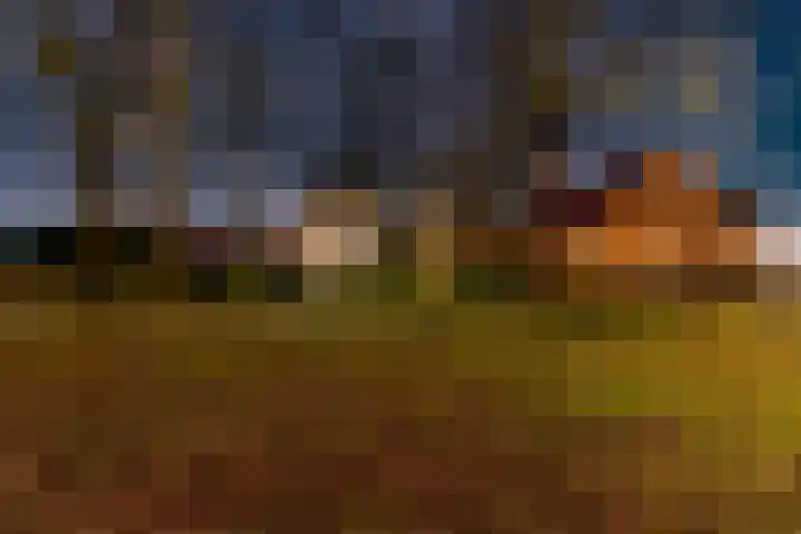 Brink 25 Schalkwijk thumbnail 53
