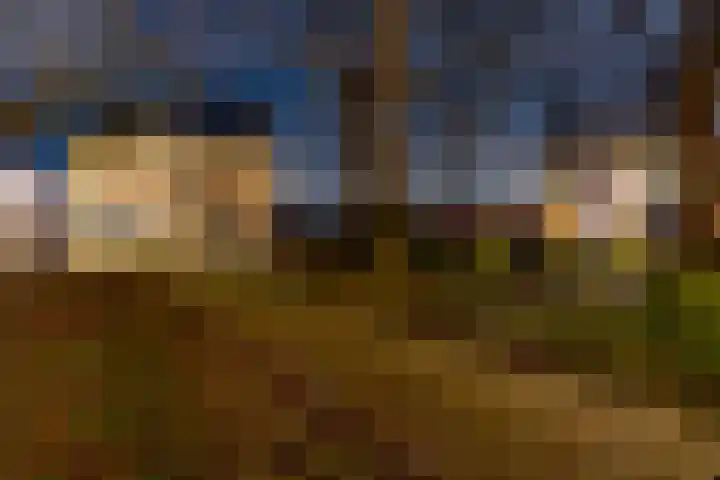 Brink 25 Schalkwijk thumbnail 54