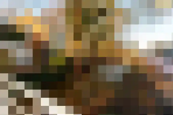 Brink 25 Schalkwijk thumbnail 57
