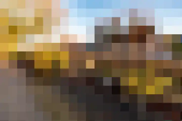 Brink 25 Schalkwijk thumbnail 58