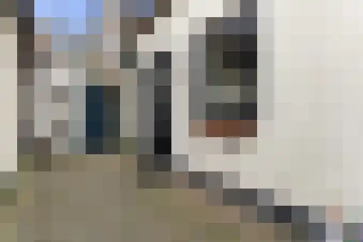 Brink 25 Schalkwijk thumbnail 6