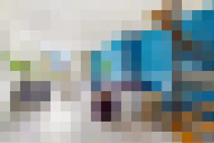 Brink 25 Schalkwijk thumbnail 9