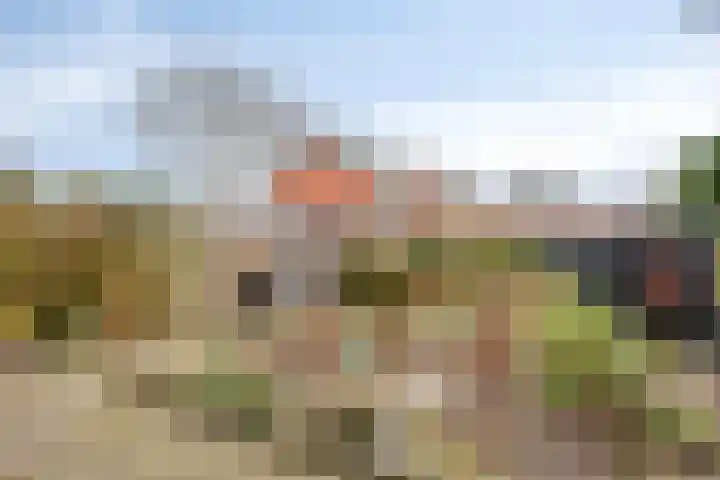 Brink 26 Veendam thumbnail 38