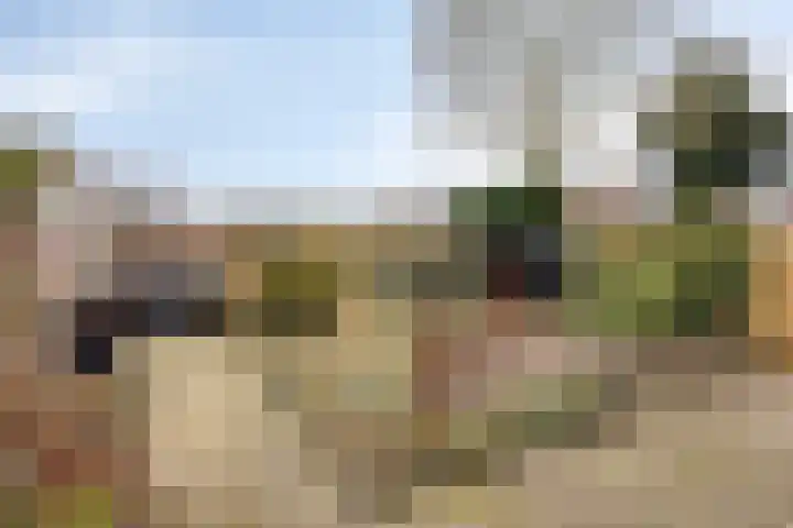 Brink 26 Veendam thumbnail 39