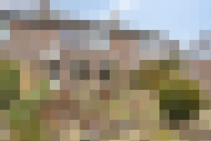Brink 26 Veendam thumbnail 41