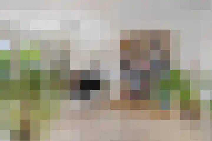 Brink 28 Veendam thumbnail 13