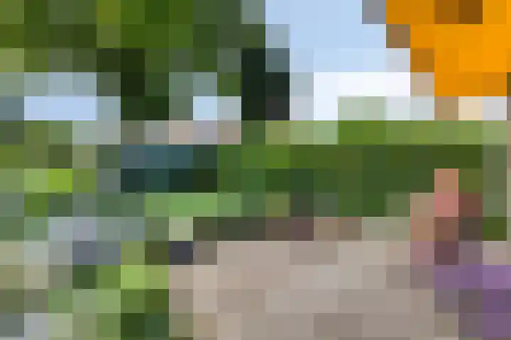 Brink 28 Veendam thumbnail 31