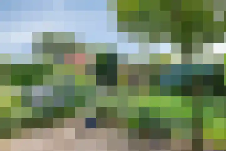 Brink 28 Veendam thumbnail 32