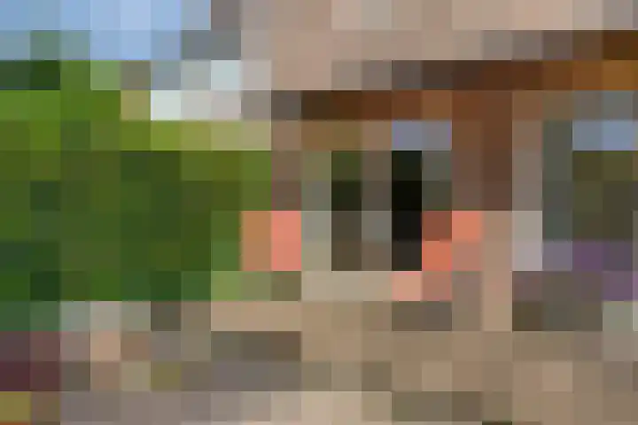 Brink 28 Veendam thumbnail 33
