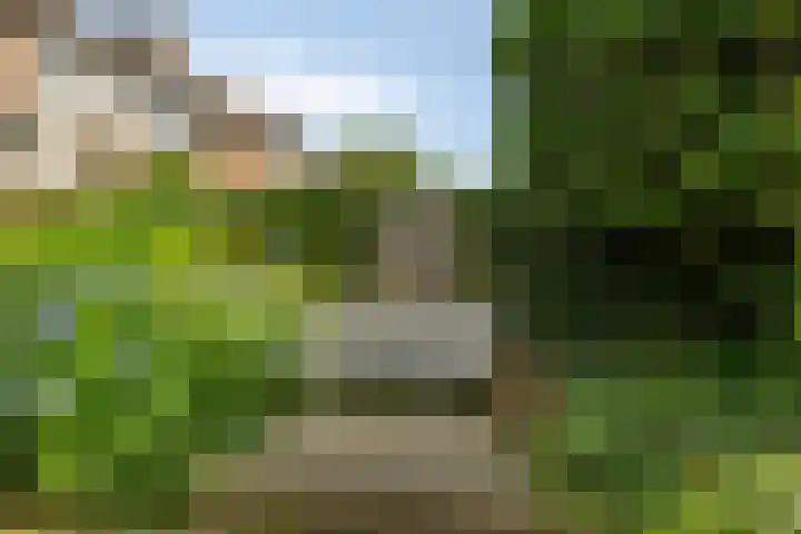 Brink 28 Veendam thumbnail 35