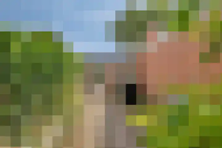 Brink 28 Veendam thumbnail 37