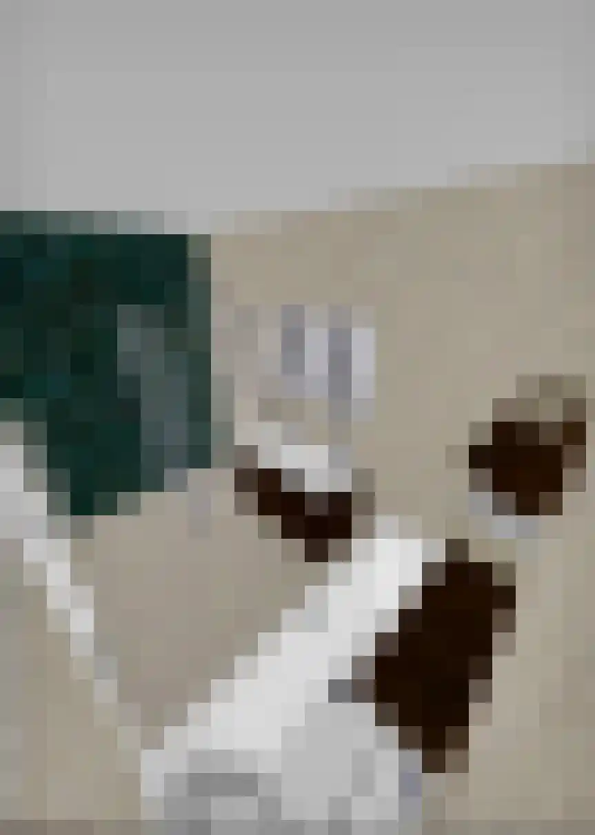 Brink 3 Meerkerk thumbnail 14