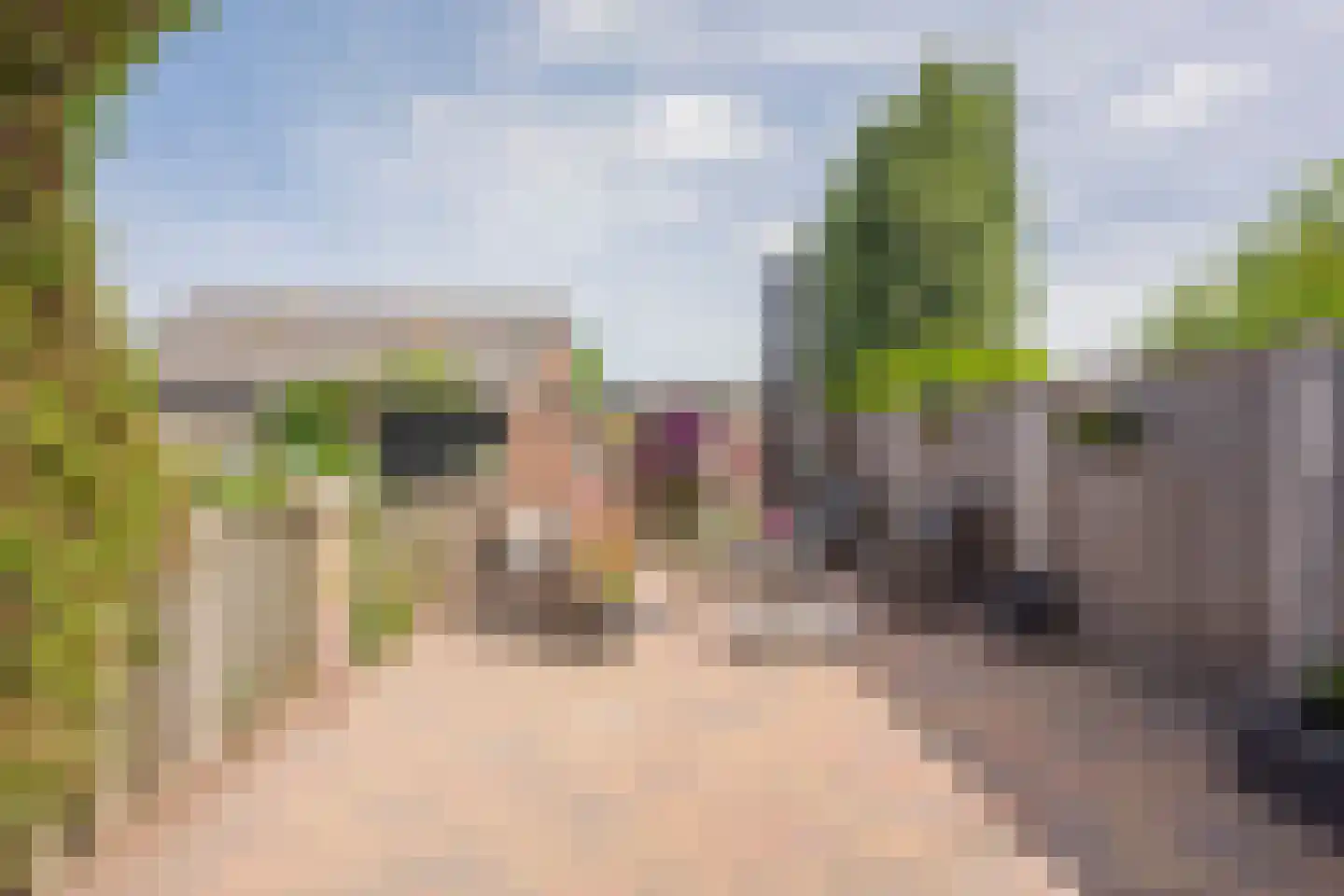 Brink 31 Nijkerk thumbnail 21