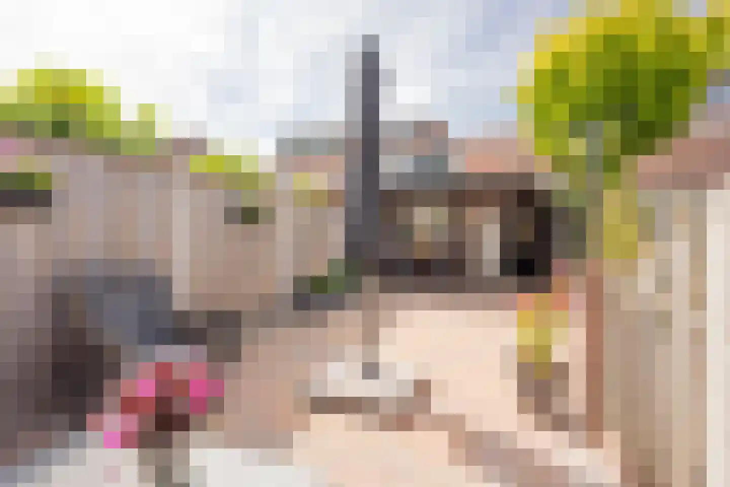 Brink 31 Nijkerk thumbnail 22